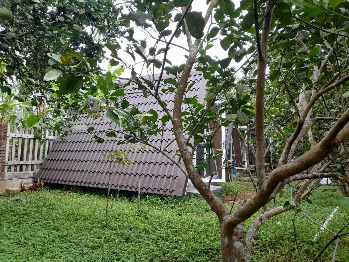 Tam Tinh Vien Homestay Huế Kültér fotó
