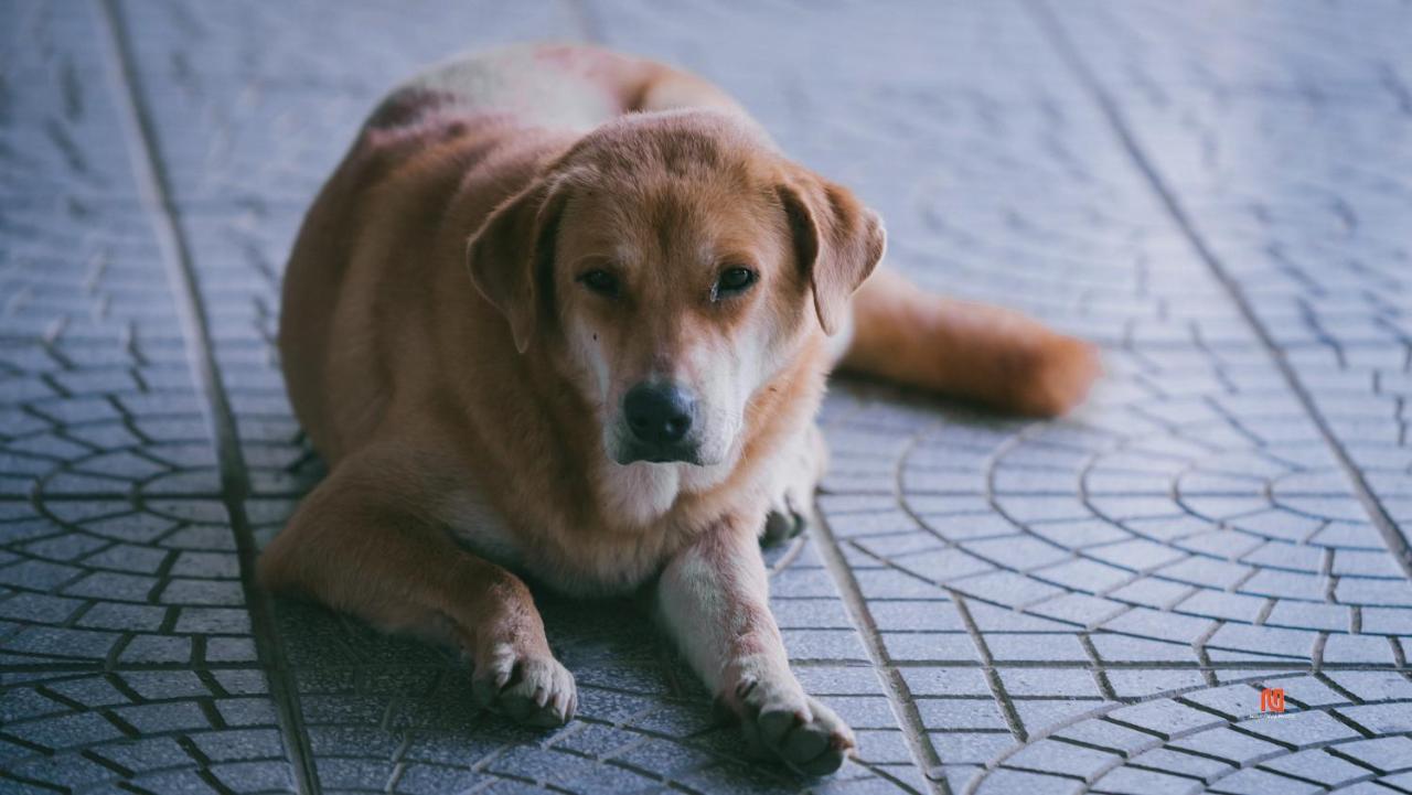 Tam Tinh Vien Homestay Huế Kültér fotó