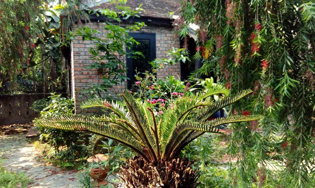 Tam Tinh Vien Homestay Huế Kültér fotó