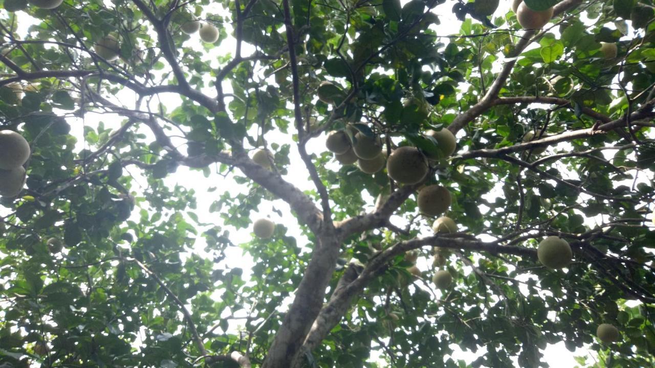 Tam Tinh Vien Homestay Huế Kültér fotó